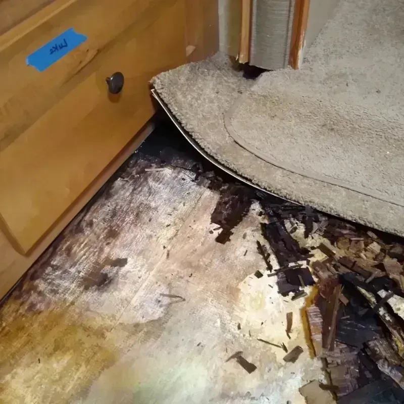 Wood Floor Water Damage in Farmington Hills, MI